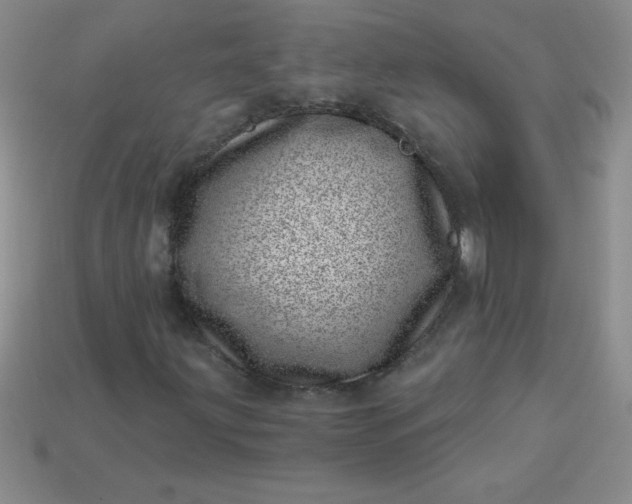 X0000113001203200909101749