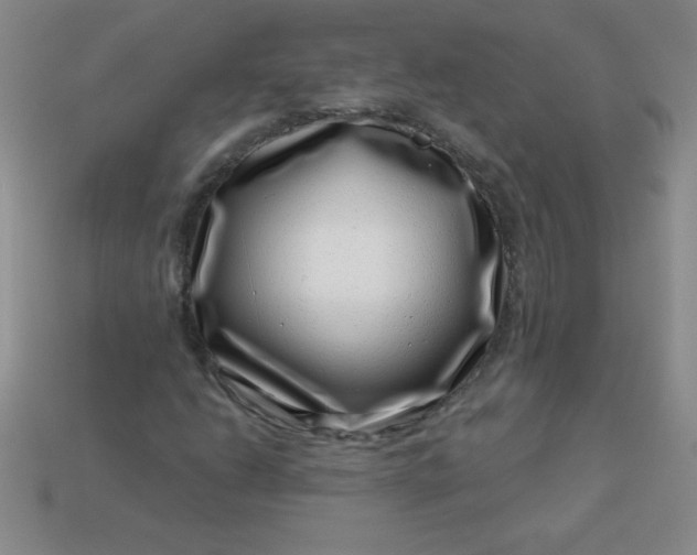 X0000113001206200909101749