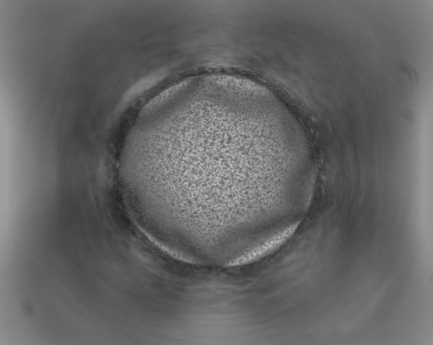 X0000113001207200909101749