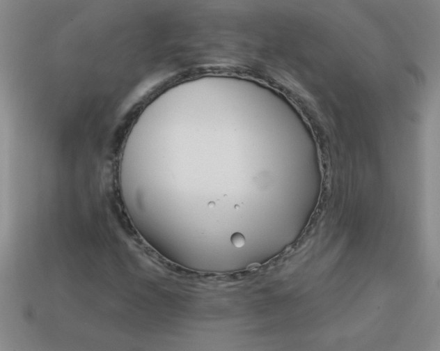 X0000113001208200909101749