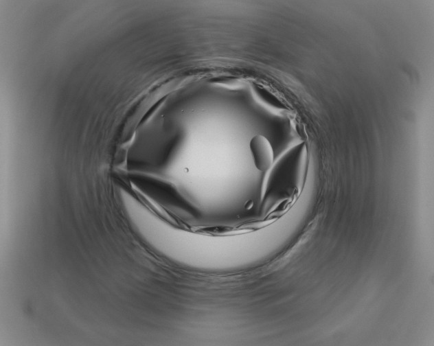 X0000113001209200909101749