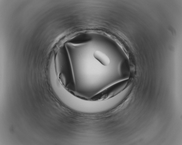 X0000113001210200909101749