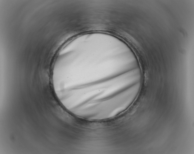 X0000113001212200909101749