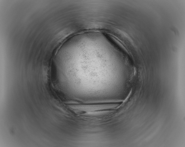 X0000113001217200909101749