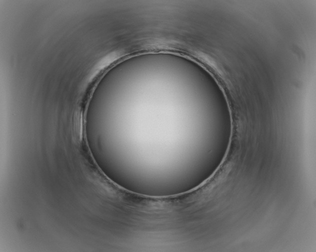 X0000113001219200909101749