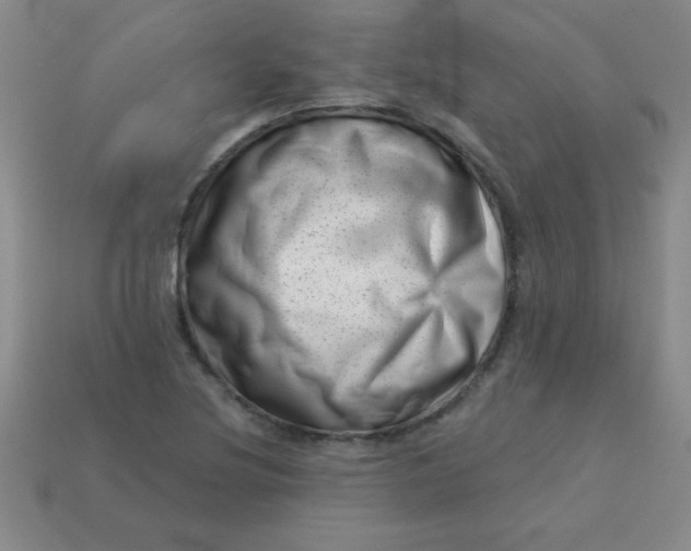 X0000113001220200909101749