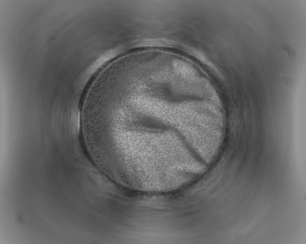 X0000113001221200909101749