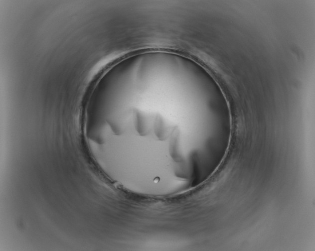 X0000113001222200909101749