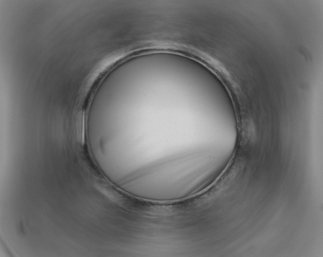 X0000113001223200909101749