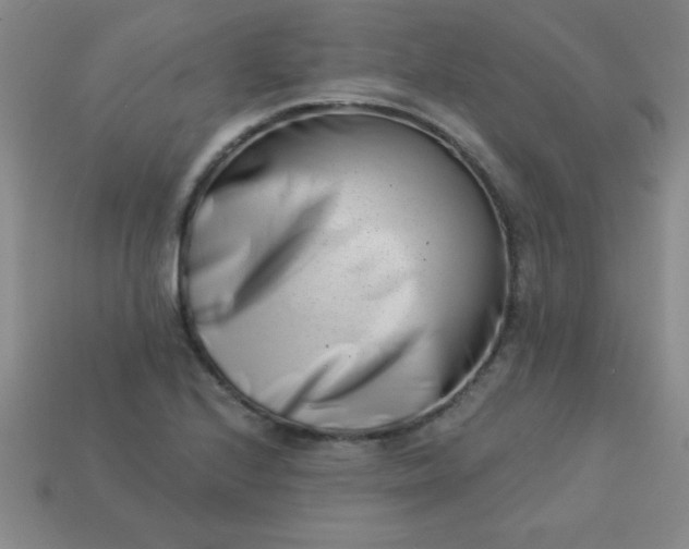 X0000113001224200909101749