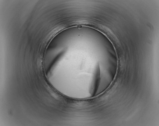 X0000113001225200909101749