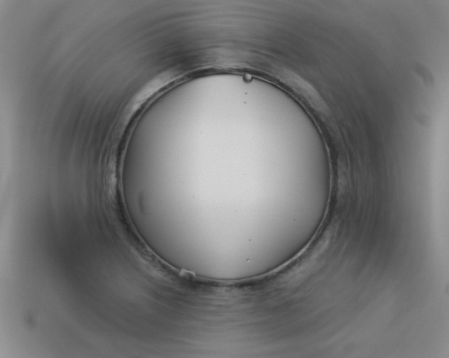 X0000113001226200909101749