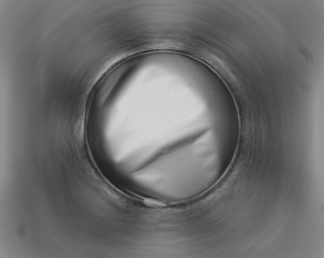 X0000113001228200909101749