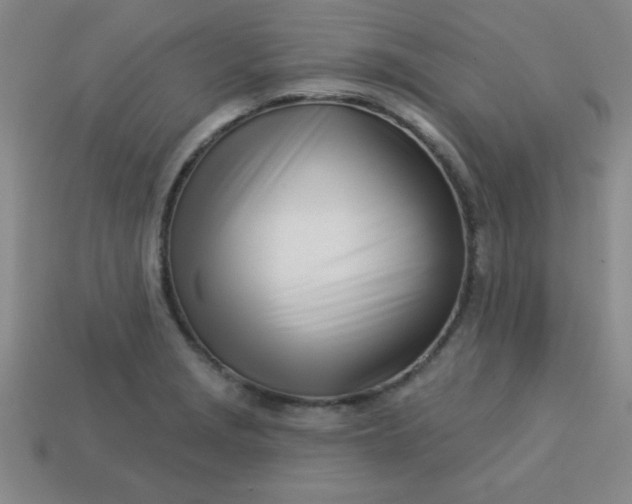 X0000113001229200909101749