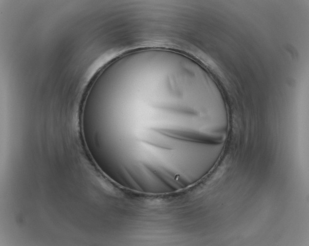 X0000113001230200909101749