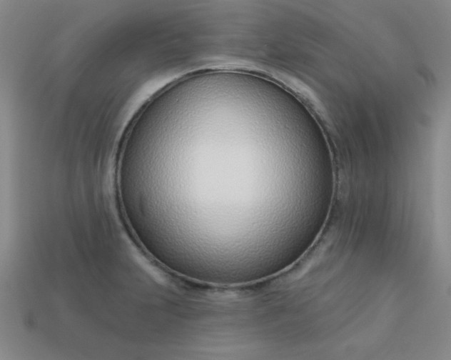 X0000113001231200909101749