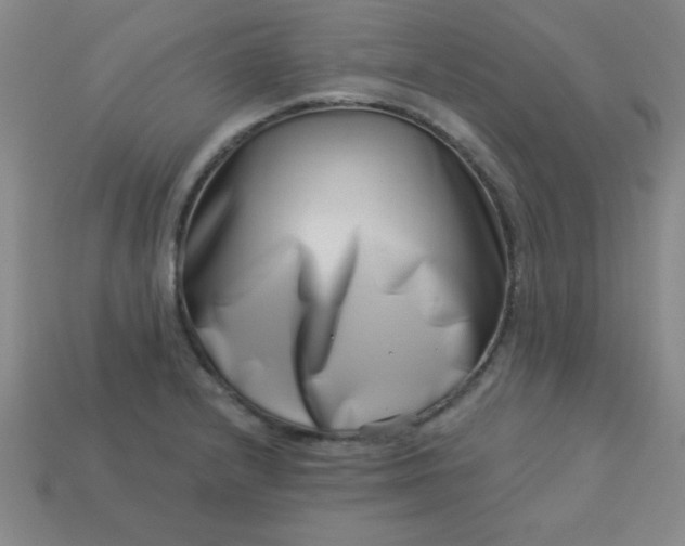 X0000113001232200909101749