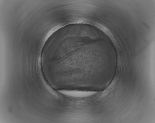 X0000113001234200909101749