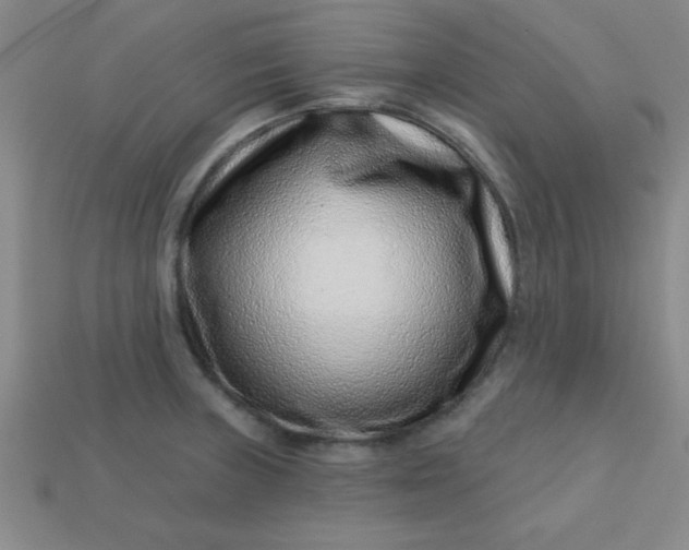 X0000113001235200909101749