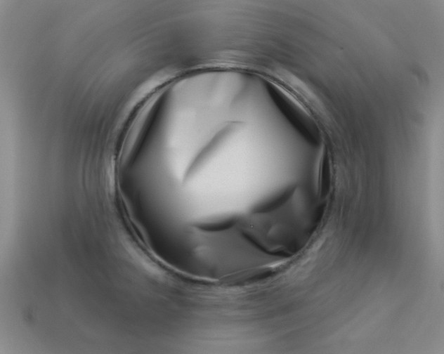 X0000113001238200909101749