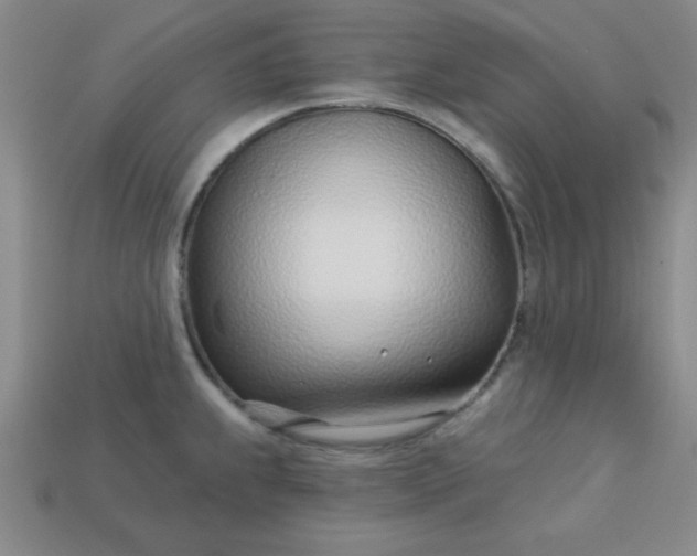 X0000113001239200909101749