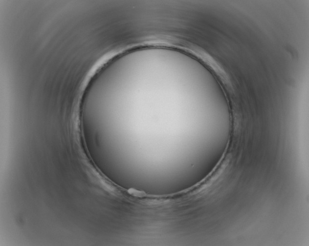 X0000113001240200909101749