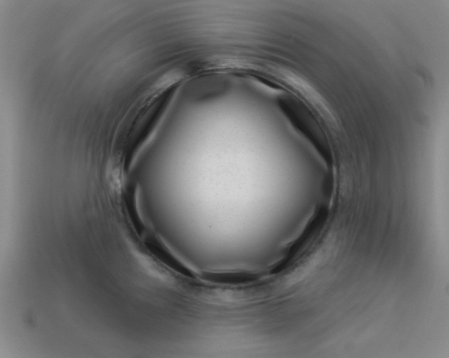 X0000113001241200909101749