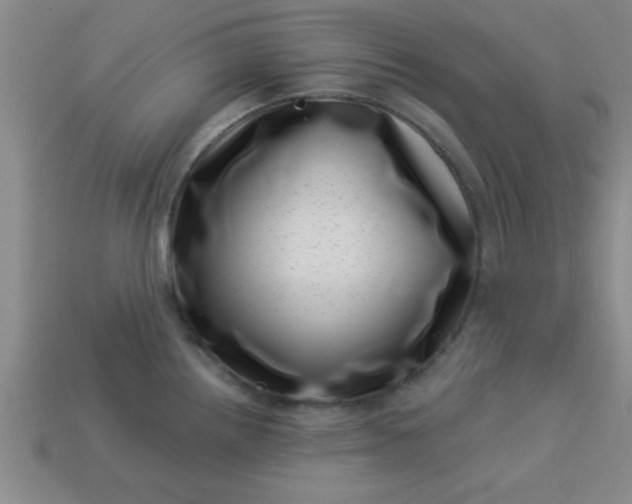 X0000113001242200909101749