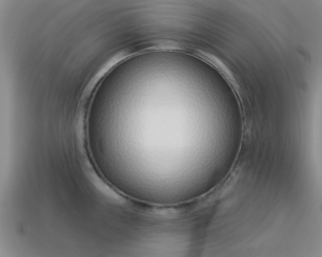 X0000113001243200909101749