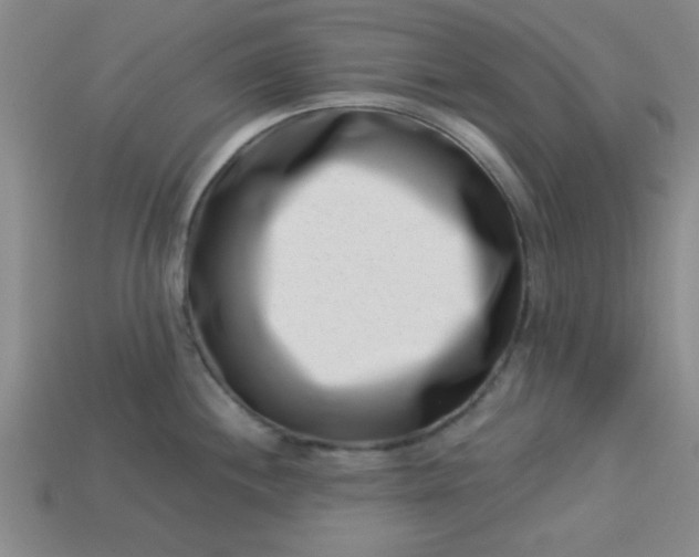 X0000113001244200909101749