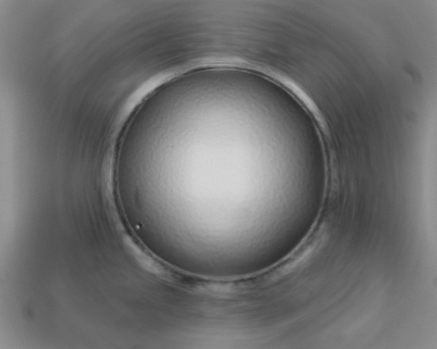 X0000113001245200909101749