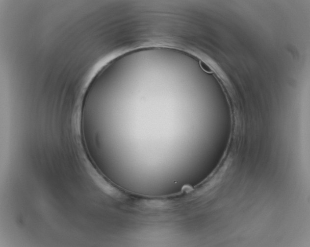 X0000113001246200909101749