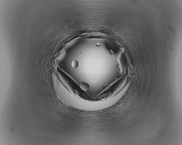 X0000113001249200909101748