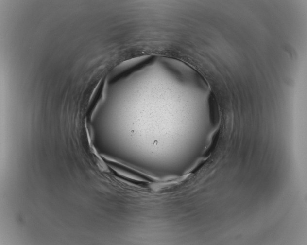 X0000113001250200909101748