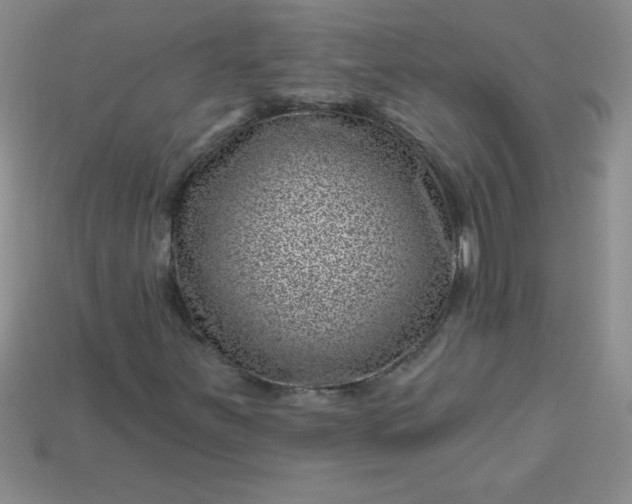 X0000113001251200909101748