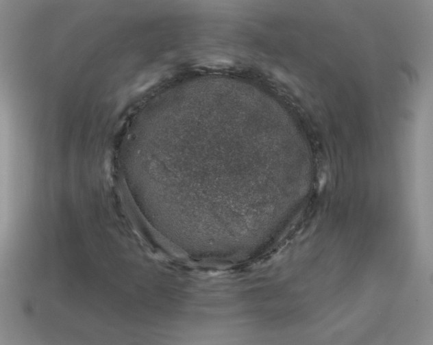 X0000113001253200909101748