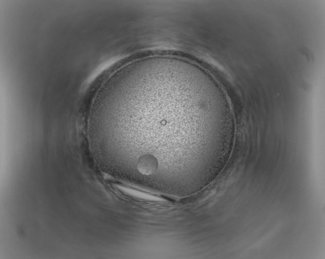 X0000113001255200909101748