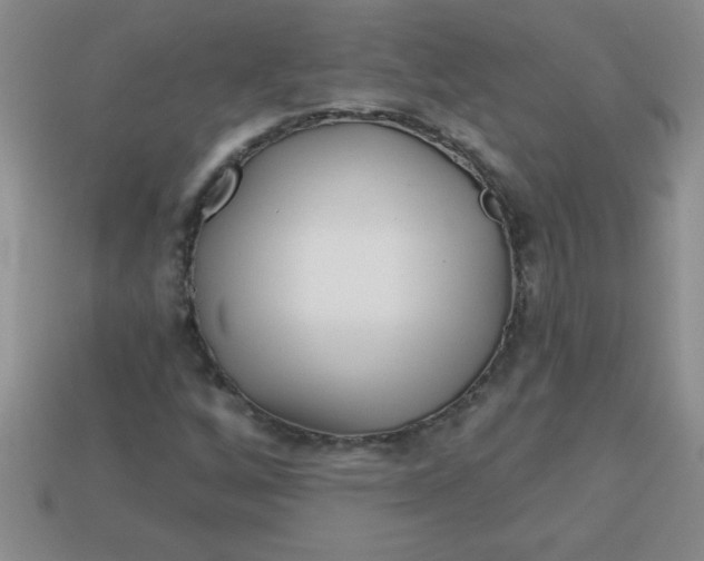 X0000113001256200909101748