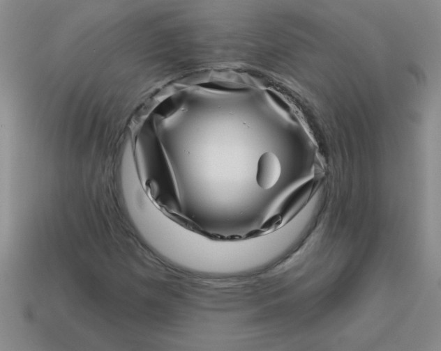 X0000113001257200909101748