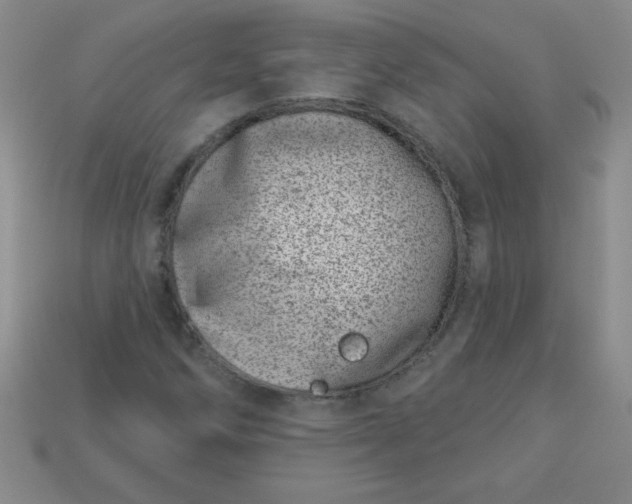 X0000113001258200909101748