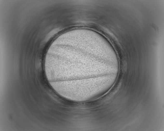 X0000113001259200909101748