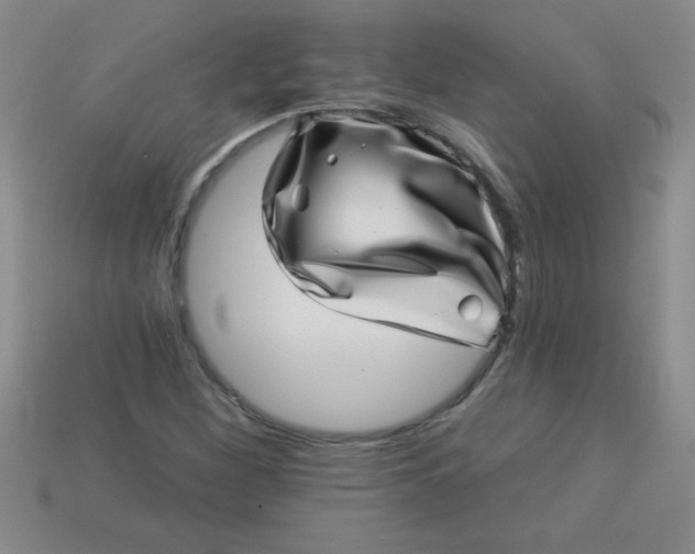 X0000113001260200909101748