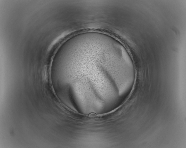 X0000113001262200909101748