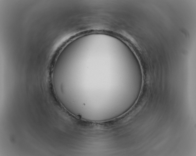 X0000113001263200909101748