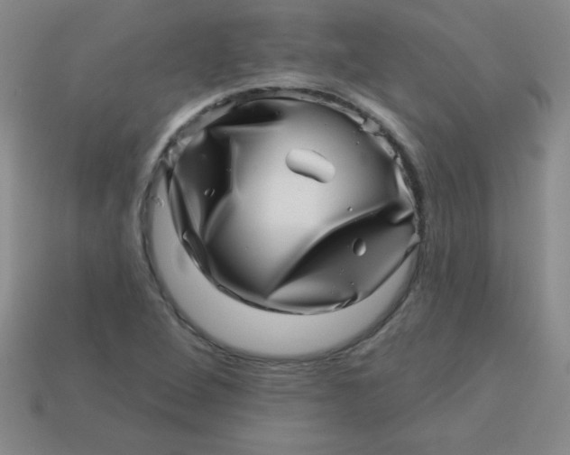 X0000113001264200909101748