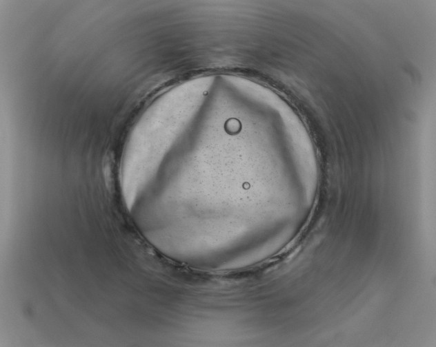 X0000113001265200909101748