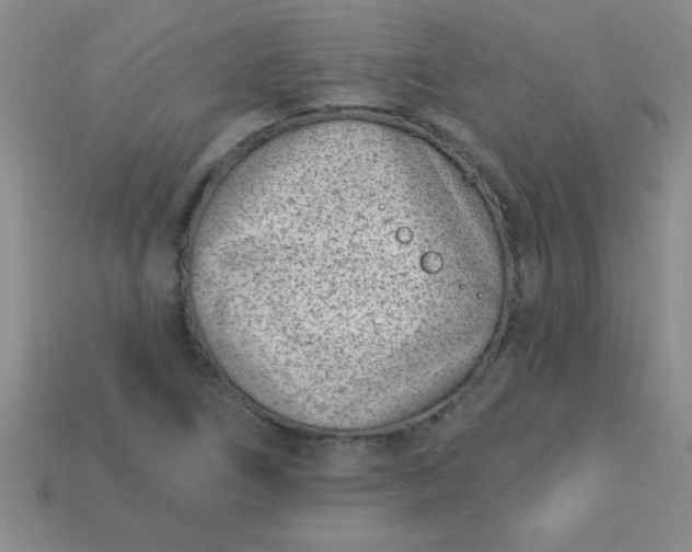 X0000113001266200909101748