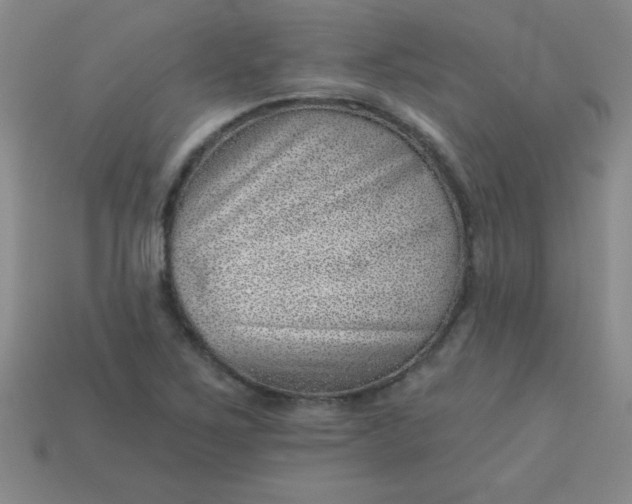 X0000113001267200909101748