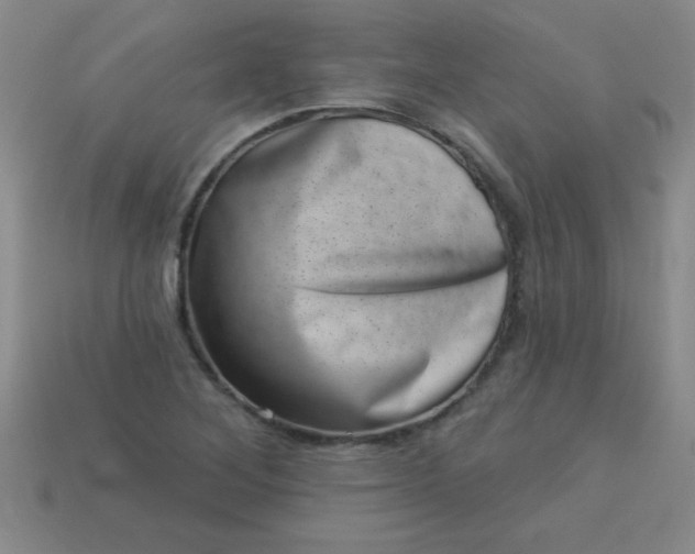 X0000113001268200909101748