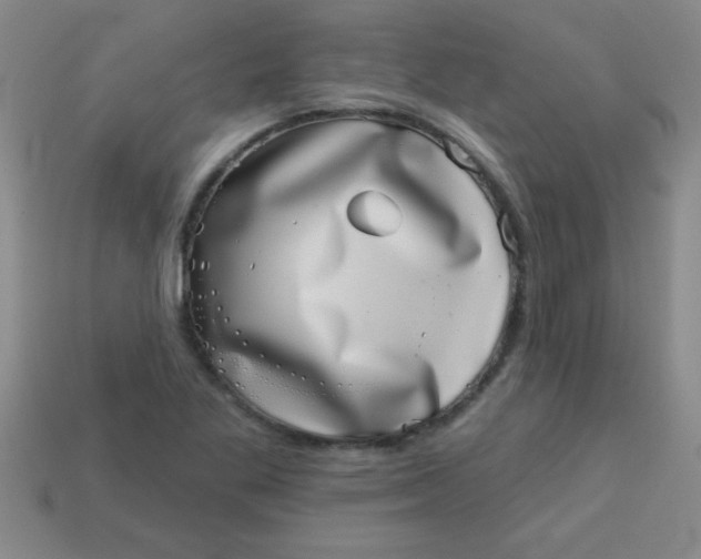 X0000113001269200909101748